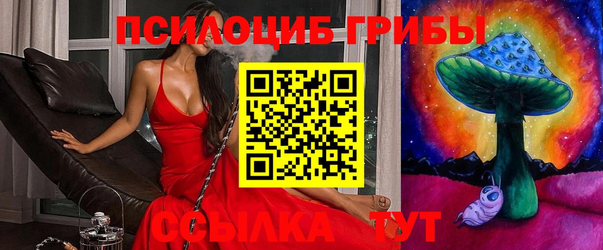Галлюциногенные грибы Cubensis  Вход с VPN  Приморско-Ахтарск 