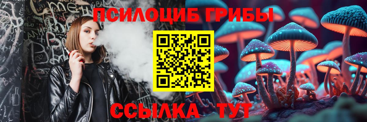 Псилоцибиновые грибы прущие грибы Приморско-Ахтарск